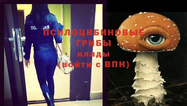 эйфоретик Алексеевка