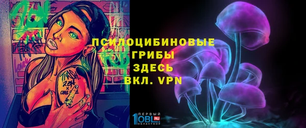 эйфоретик Алексеевка
