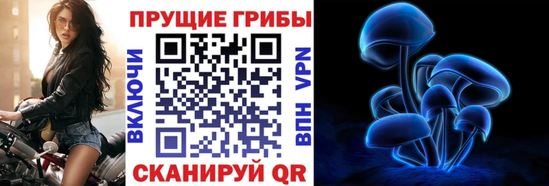 hydra ТОР  darknet как зайти  Псилоцибиновые грибы Magic Shrooms  Ивдель 